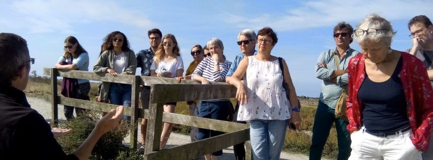 île de ré sortie 2017