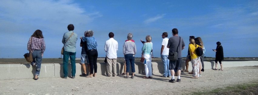 île de ré sortie 2017